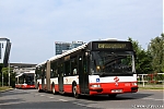 6513.jpg