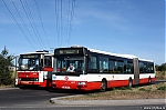 6517.jpg
