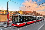6601.jpg
