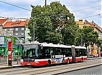 6693.jpg