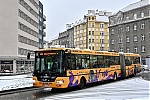 6831.jpg