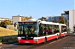 6897.jpg