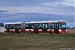 6907.jpg