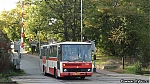 7003.jpg