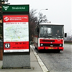 7019.jpg