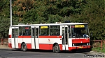 7033.jpg