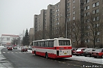 7085.jpg