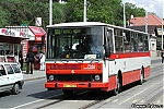 7086.jpg