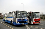 7096.jpg