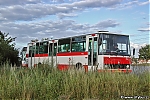 7174.jpg