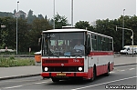 7246.jpg