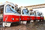 7283.jpg