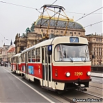 7290.jpg