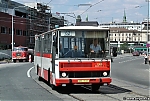 7367.jpg