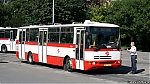 7371.jpg