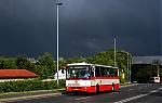 7455.jpg