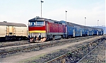 751_162.jpg
