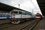 754_042.jpg