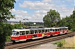 8042~0.jpg