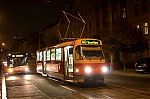 8420.jpg