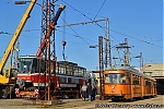 8628.jpg