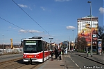 9060.jpg