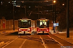 9071.jpg