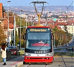 9323.jpg