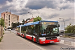 9531.jpg