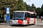9763.jpg
