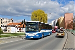 9S4-8175.jpg
