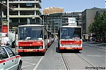 Název souboru=B731_7252.jpg
Velikost souboru=374KB
Rozměry=1200x800
Datum přidání=18. Prosinec 2015 B731_7252.jpg