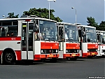 Název souboru=B732_5292.jpg
Velikost souboru=321KB
Rozměry=1200x910
Datum přidání=09. Červenec 2017 B732_5292.jpg