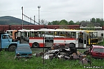 Název souboru=B732_5516.jpg
Velikost souboru=361KB
Rozměry=1200x800
Datum přidání=19. Prosinec 2015 B732_5516.jpg