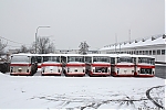 Název souboru=B732_5763.JPG
Velikost souboru=285KB
Rozměry=1200x800
Datum přidání=24. Prosinec 2019 B732_5763.JPG