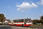 B941E_6300.jpg