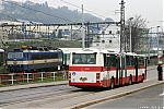 B941E_6334.JPG