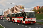 B941_6196.jpg