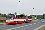 B941_6229.jpg
