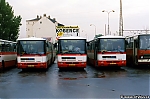 B941_6248.jpg