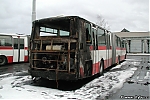 Název souboru=B941_6265.jpg
Velikost souboru=599KB
Rozměry=1200x800
Datum přidání=21. Prosinec 2015 B941_6265.jpg