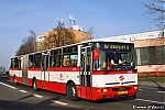B941_6298.jpg