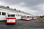 B951E_4057.JPG