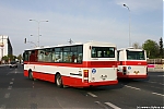 B951E_4081.JPG