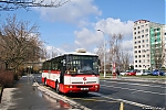 B951E_4099.jpg
