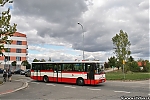 B951E_4138.jpg