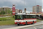 B951_4043.jpg