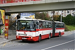 B961_6354.JPG