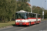 Název souboru=B961_6356.JPG
Velikost souboru=475KB
Rozměry=1200x800
Datum přidání=01. Únor 2020 B961_6356.JPG