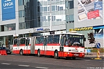 Název souboru=B961_6357.JPG
Velikost souboru=439KB
Rozměry=1200x800
Datum přidání=23. Říjen 2019 B961_6357.JPG